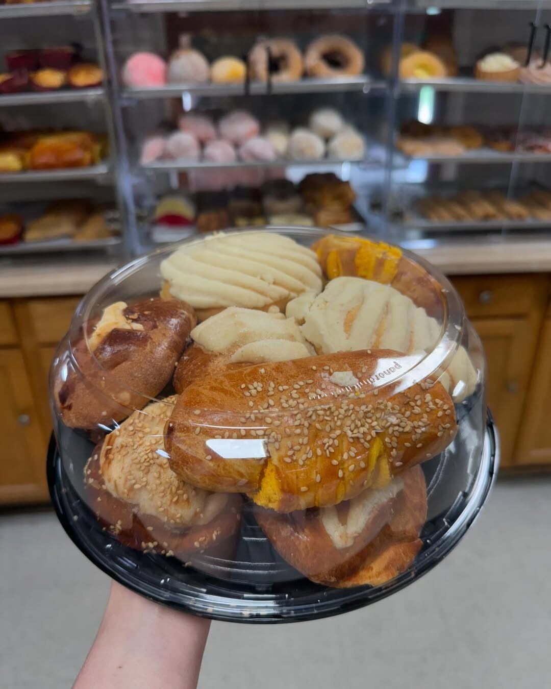A covered tray of fresh pan dulce — conchas, sesame-topped bread and empanadas — held up in front of the Mr. Churro bakery case.
